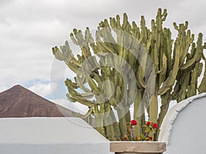 The island of lanzarote