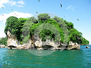 Island of Los Haitises National Park in Dominican Republic