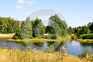 An island in the middle of a small lake in the forest