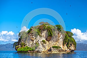 Island near the Samana shore, Dominican republic