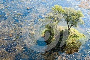 Island in the Okavango Delta seen from a heli