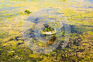 Island in the Okavango Delta seen from a heli