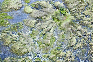 Island in the Okavango Delta seen from a heli