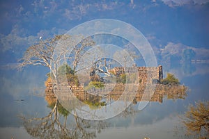 Island with old temple ruins Padam lake Ranthambore National Park, Rajasthan, India