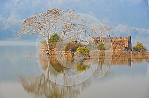 Island with old temple ruins Padam lake Ranthambore National Park, Rajasthan, India