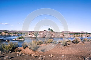 An island in the Orange River