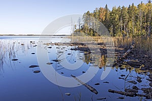 island overgrown with trees on Lake Onega in Karelia in autumn. Reflections in water