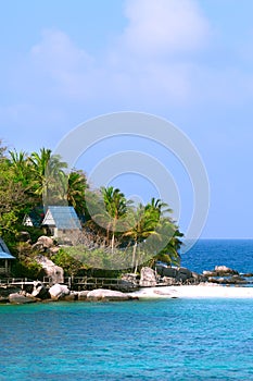 Island of a palm tree house