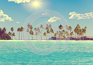 The island with palm trees in the ocean,with retro effect