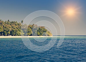 Island with palm trees in the ocean, retro effect