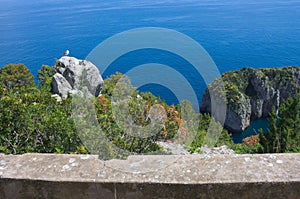 Island paradise- XII - Capri - Italy