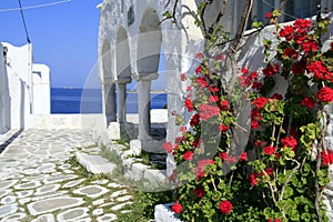 Island of Paros, Greece photo