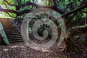 The island of Penghu the Pescadores Islands Taiwan October 14, 2019 an ancient abandoned military Fort in the jungle in Taiwan