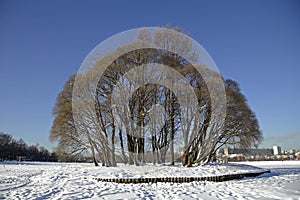 Island at the pond in Tsaritsyno