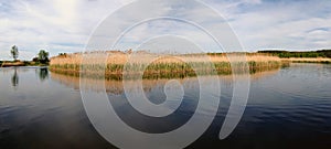 Island of reeds in the quiet waters of Rosie