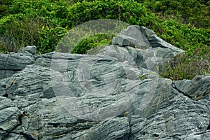 Island Rocks on Egde Green Tropical Background