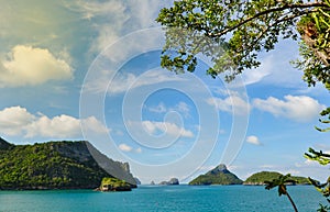 Island and sea with tree and blue sky