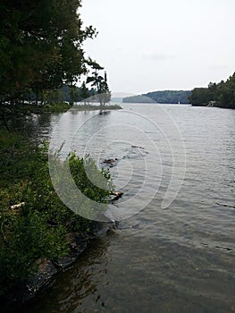 Island Shoreline in Lake of Bays