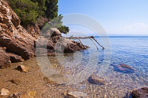 Island skiathos greece. Luxury Island-Skiathos.Greece island.Paradise beach