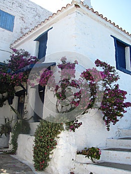 Island skopelos in Greece