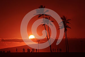Island Sunset photo