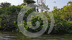 Island on the Tejo River, in Portugal, inhabited only by birds