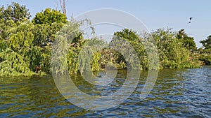 Island on the Tejo River, in Portugal, inhabited only by birds