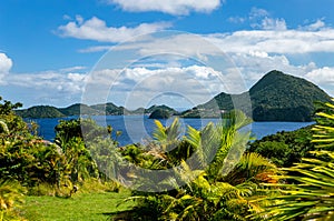 Island Terre-de-Haut, Iles des Saintes, Les Saintes, Guadeloupe, Lesser Antilles, Caribbean photo