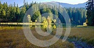 Island with trees in autumn colors with Chopok background. Vrbicke lake in Demanovska valley in Slovakia.