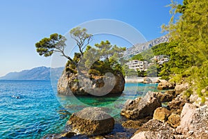 Island and trees in Brela, Croatia