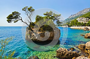 Island and trees in Brela, Croatia