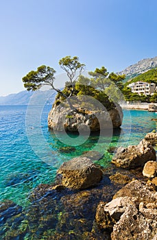 Island and trees in Brela, Croatia