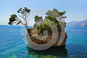 Island and trees in Brela, Croatia