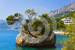 Island and trees in Brela, Croatia