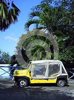 Island vehicle flat tires by palm trees Bequia St. Vincent and