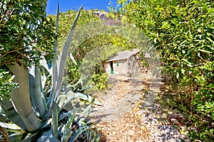 Island of Vis jungle path in Stinva bay