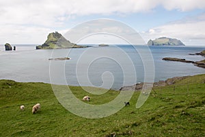 The islands Gasholmur and Tindholmur and Mykines on the Faroe I