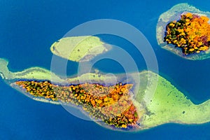 Islands on lake in fall, aerial