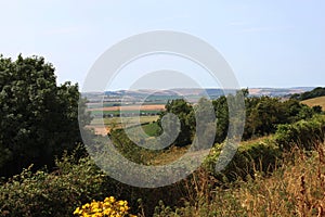 Isle of Wight Downland and Countryside Views