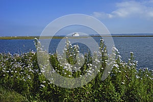 Isle of wight ferry