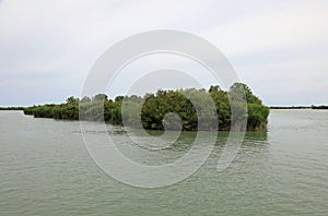 islet with vegetation on the mouth of the great river Po near th