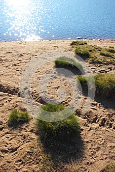 Islets lawn on the beach at the lake