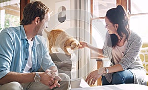 Isnt he just cute. an affectionate young woman petting her cat while sitting with her husband in their living room.