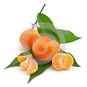 Mandarina 