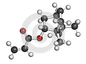 Isobornyl acrylate molecule. 3D rendering. Atoms are represented as spheres with conventional color coding: hydrogen white,