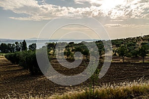 Isola Polvese: Trasimeno Lake View photo