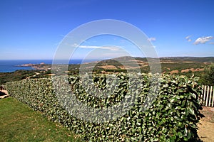 Isola Rossa, Sardinia, Italy