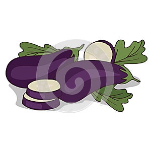 Isolate aubergine or eggplant