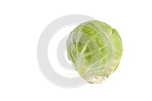 Isolate Brussels sprouts. Fresh, small brussels sprouts on white isolated background with shadow