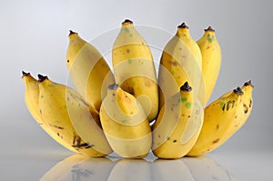 Isolate bunch of ripe banana